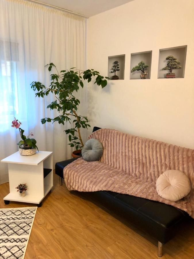 Апартаменты Mia'S House Питешти Экстерьер фото